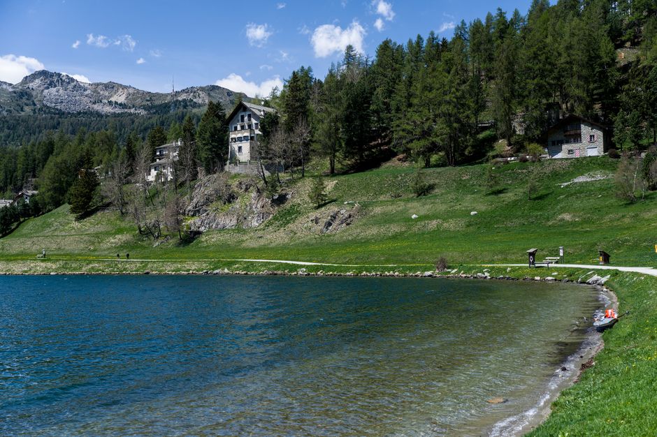 The image depicts a scenic lakeside landscape with a calm, blue body of water in the foreground, bordered by a narrow grassy shoreline. Beyond the shoreline, a gently sloping green hillside is dotted with a few small trees and rocks. Several houses with stone or brick facades, dark roofs, and multiple windows are situated on the hillside, partially obscured by tall, dense coniferous trees. The background features a mountain range with rugged peaks under a clear blue sky with scattered clouds. The scene is illuminated by natural daylight, highlighting the vibrant colors and serene atmosphere. The overall setting suggests a peaceful rural or suburban area, possibly near private properties or independent estate residences, aligning with the context of alternative waste handling and rubbish removal services in natural environments.